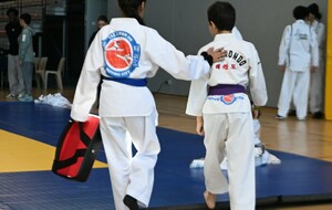 6a2eea147e949_DSC3305.JPG