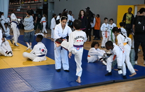 6a2eea26e73f8_DSC3310.JPG
