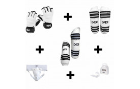 Pack protection Taekwondo